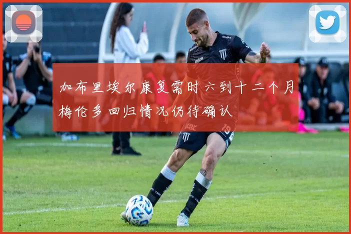 加布里埃尔康复需时六到十二个月梅伦多回归情况仍待确认